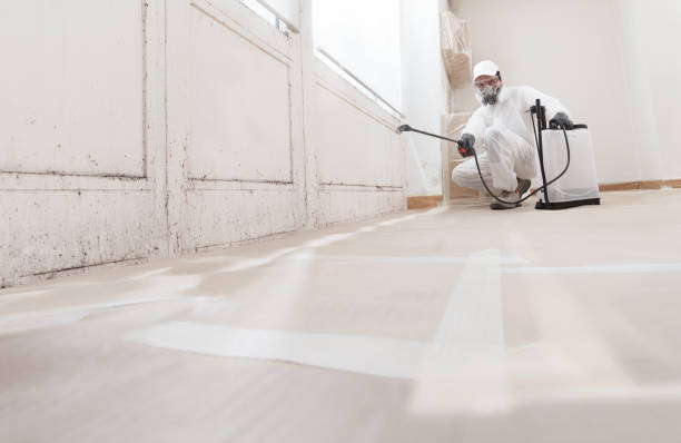 Black mold remediation team in Topinabee